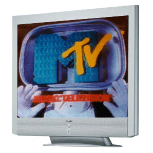 mtv.gif (43059 bytes)